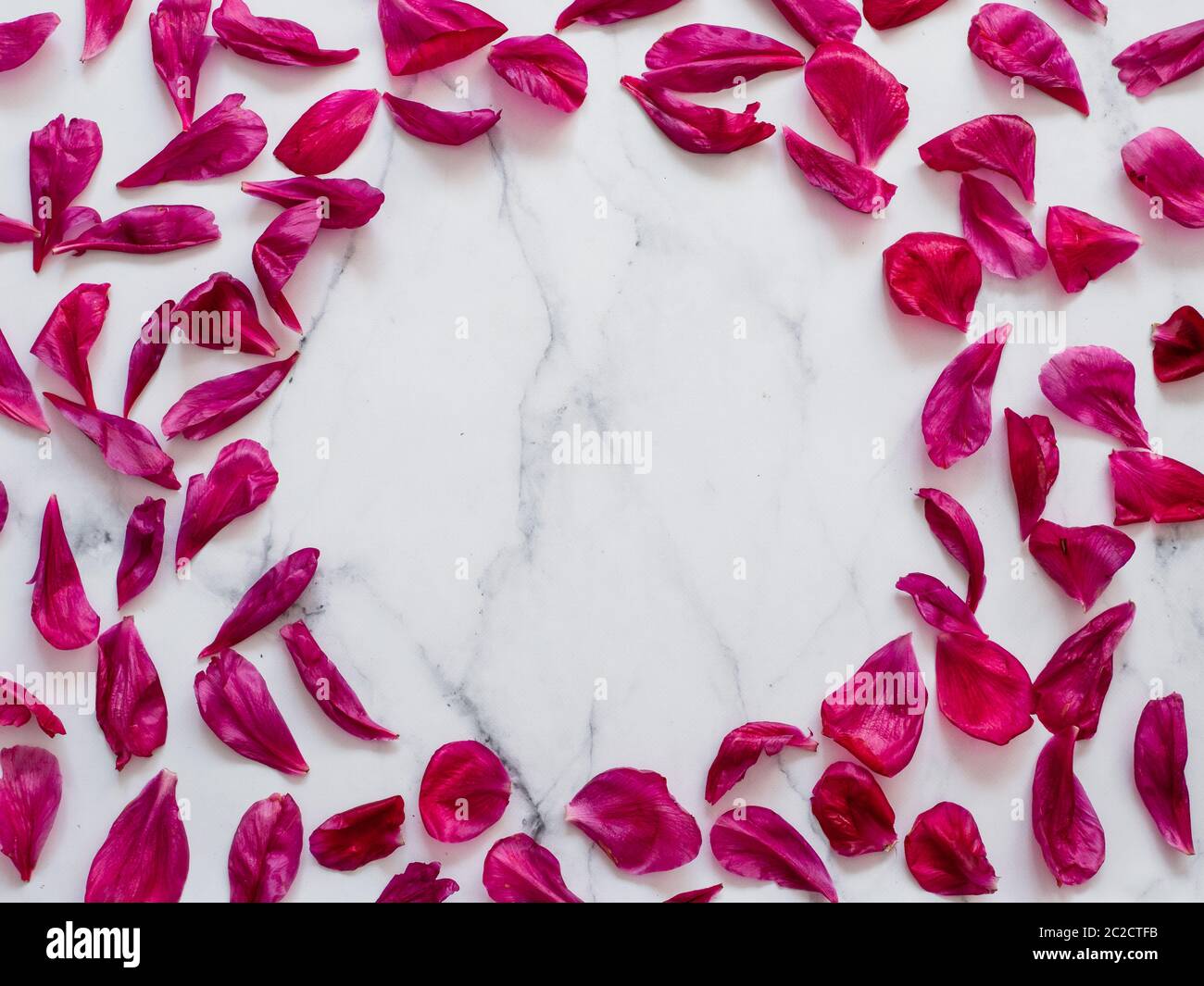 Motivo piatto con petali di peonia, marmo bianco Foto Stock