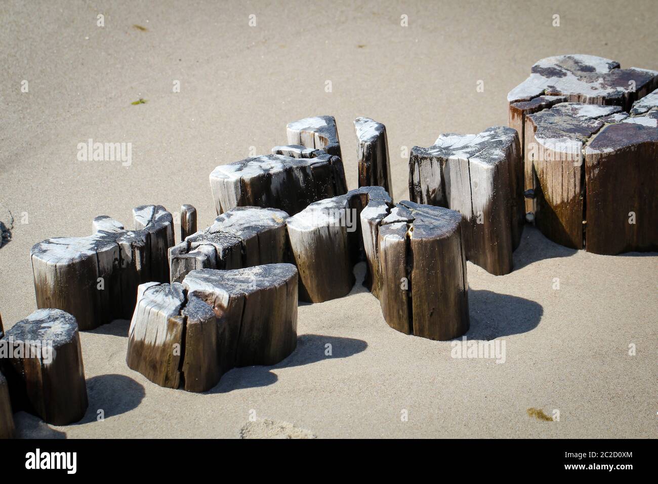 Pali di legno (Buhnen) che sorgono dalle sabbie del Mar Baltico proteggono la spiaggia e la costa Foto Stock