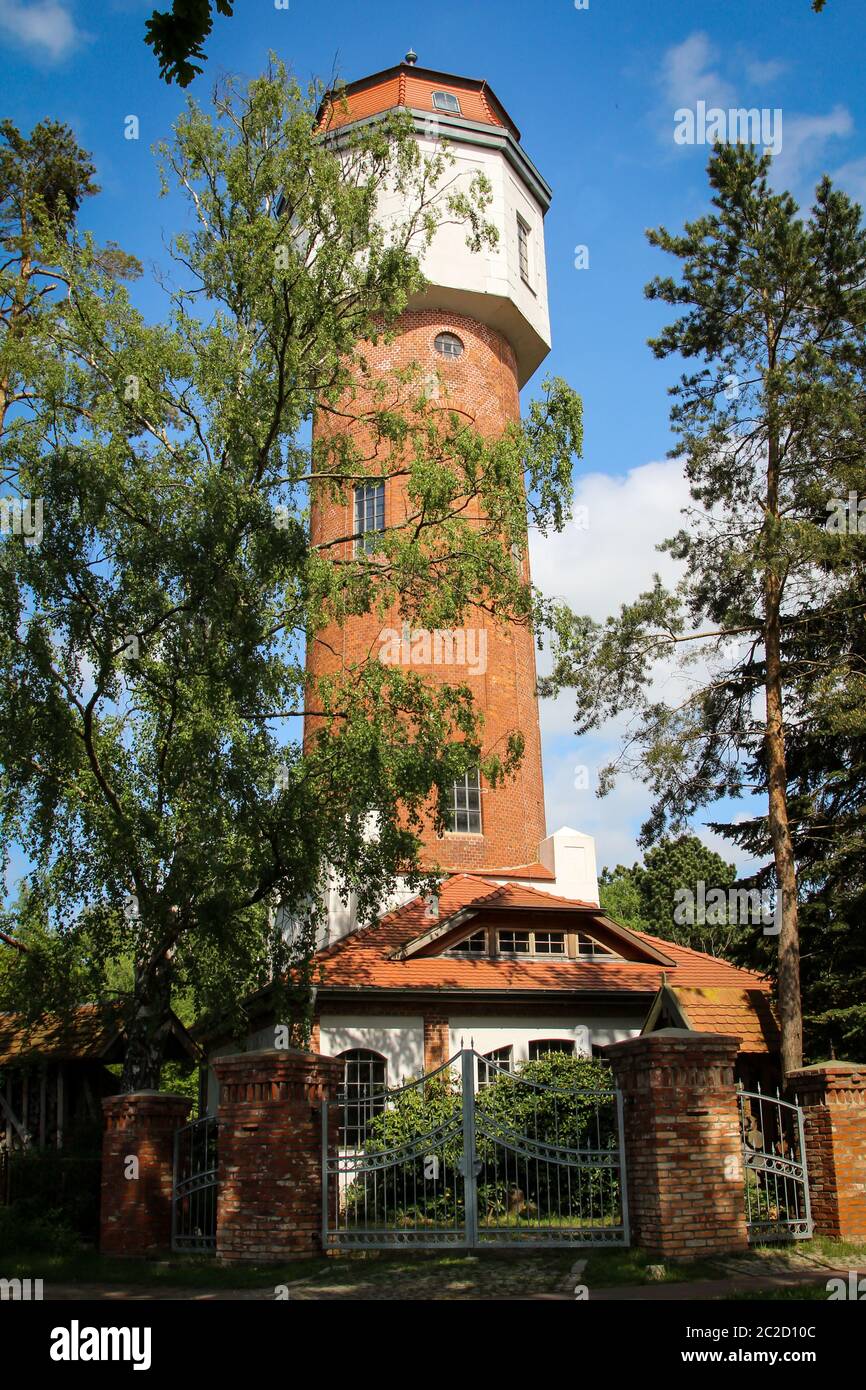 una torre d'acqua svetta da dietro le cime degli alberi Foto Stock