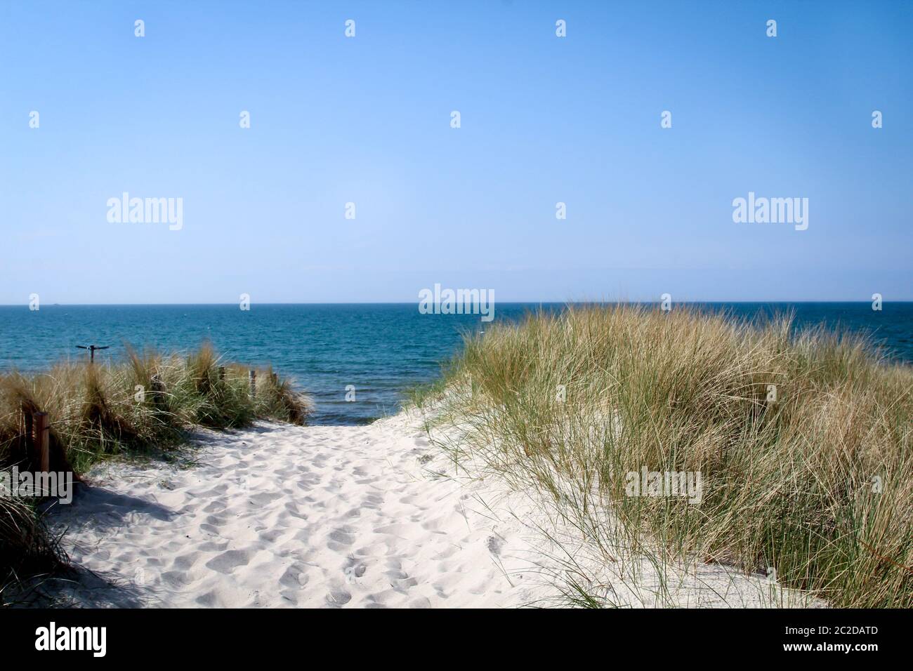 Vista sulle dune e sulla spiaggia del Mar Baltico Foto Stock