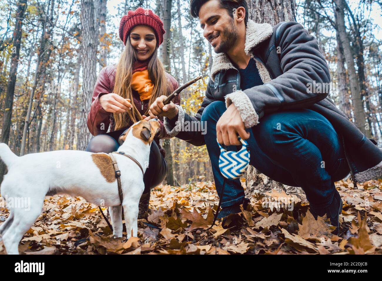 Donna e uomo che camminano il loro cane gettando un bastone per giocare con lei Foto Stock