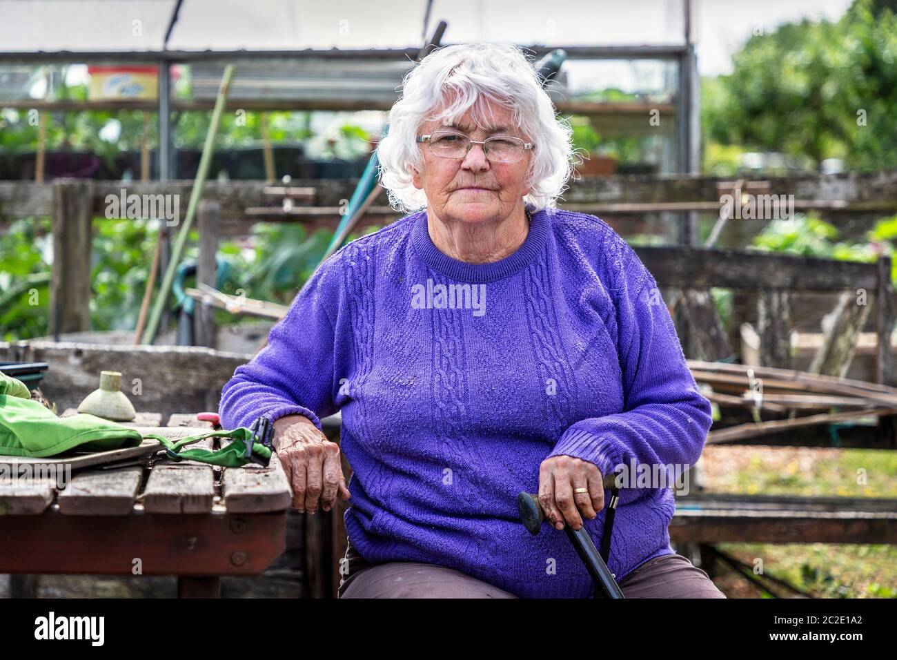 Christine Jeffers, sulla sua trama, (Plot 17), a Eglinton Growers, Allotments, Kilwinning, Ayrshire, Scozia, Regno Unito Foto Stock