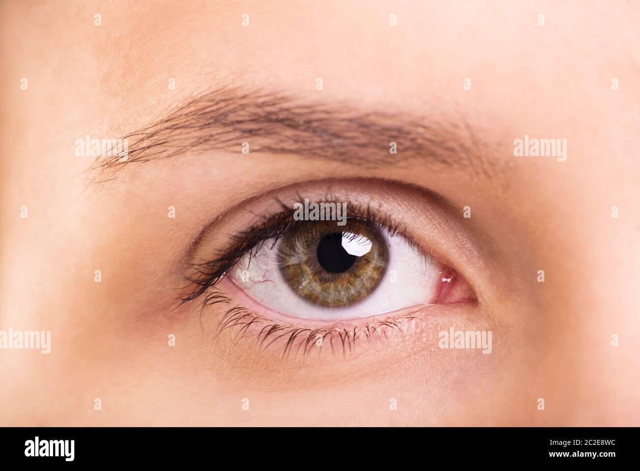 Un'immagine ravvicinata di un sano occhio femmina e sopracciglio senza make up. Foto Stock