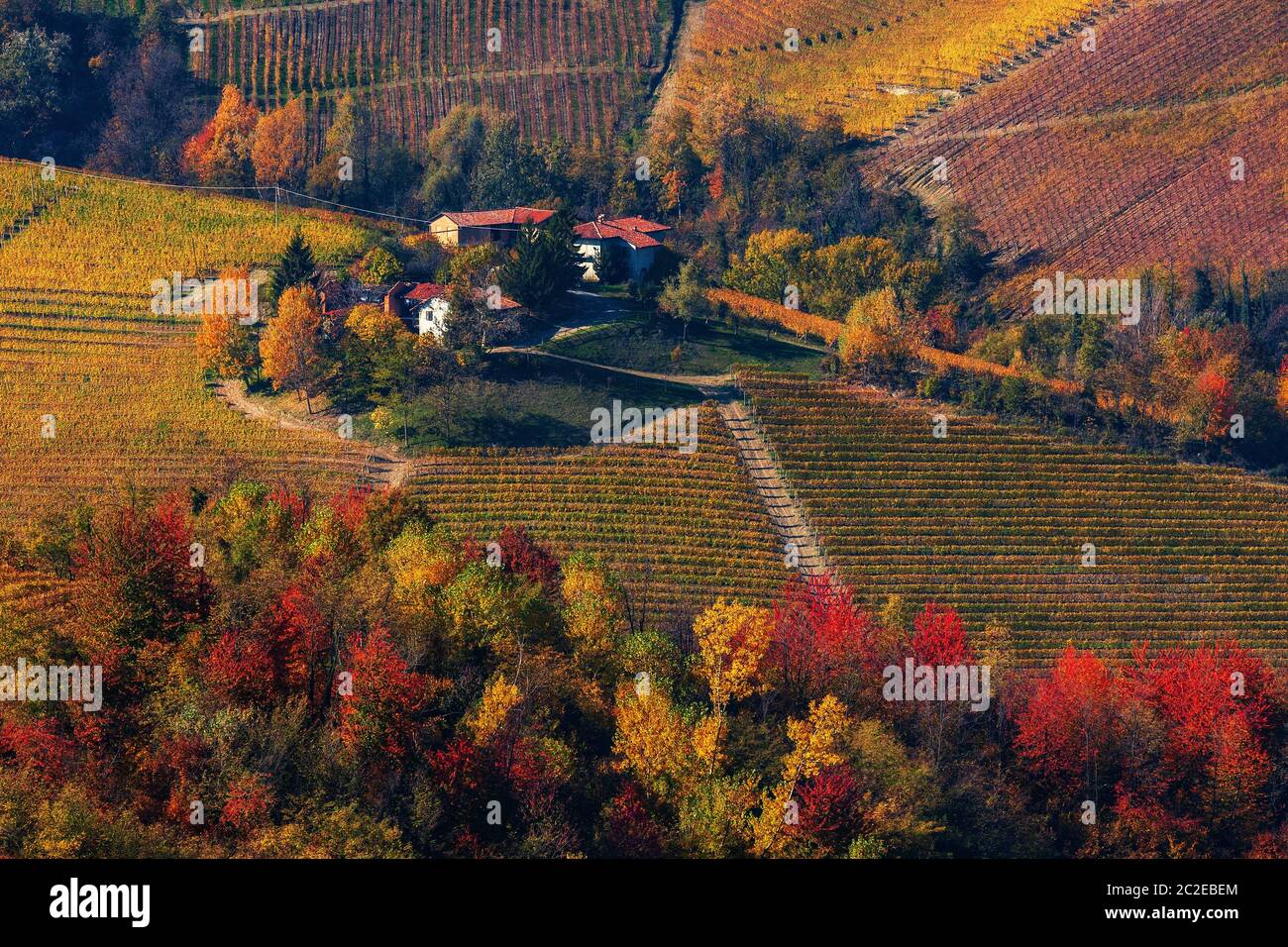 Vista da sopra il case rurali sulla collina tra colorate autunnale di vigneti e alberi in Piemonte, Italia settentrionale. Foto Stock