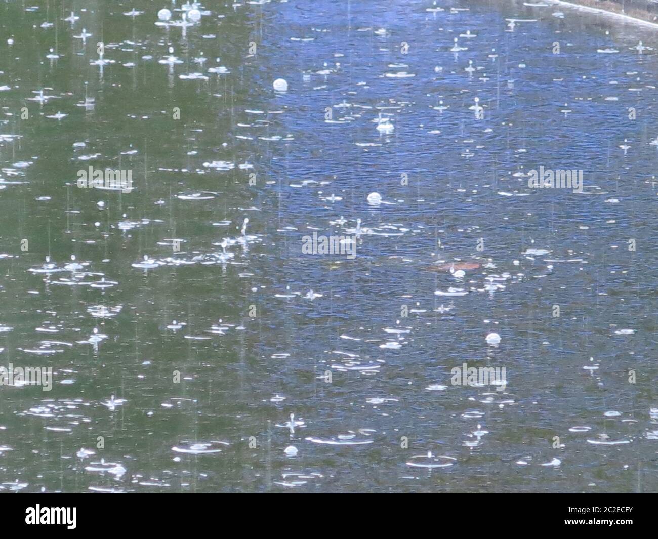 Riassunto della pioggia pesante che cade su uno stagno, dove si riflette luce viola attraverso due terzi della foto in contrasto con l'acqua scura. Foto Stock