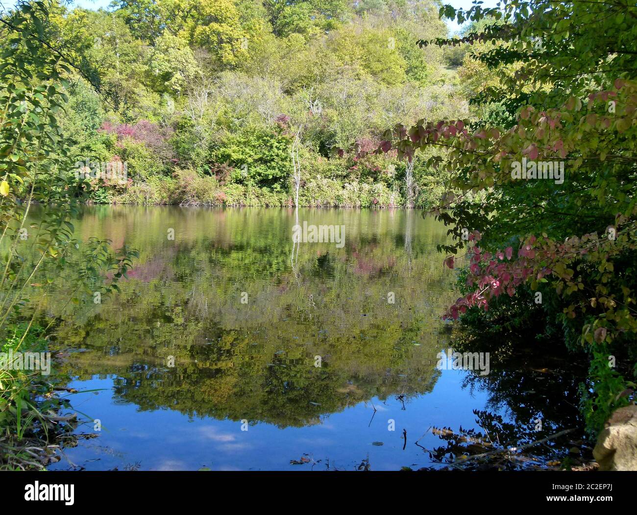 Lago forestale con alberi d'autunno sulla riva e il loro riflesso in acqua Foto Stock