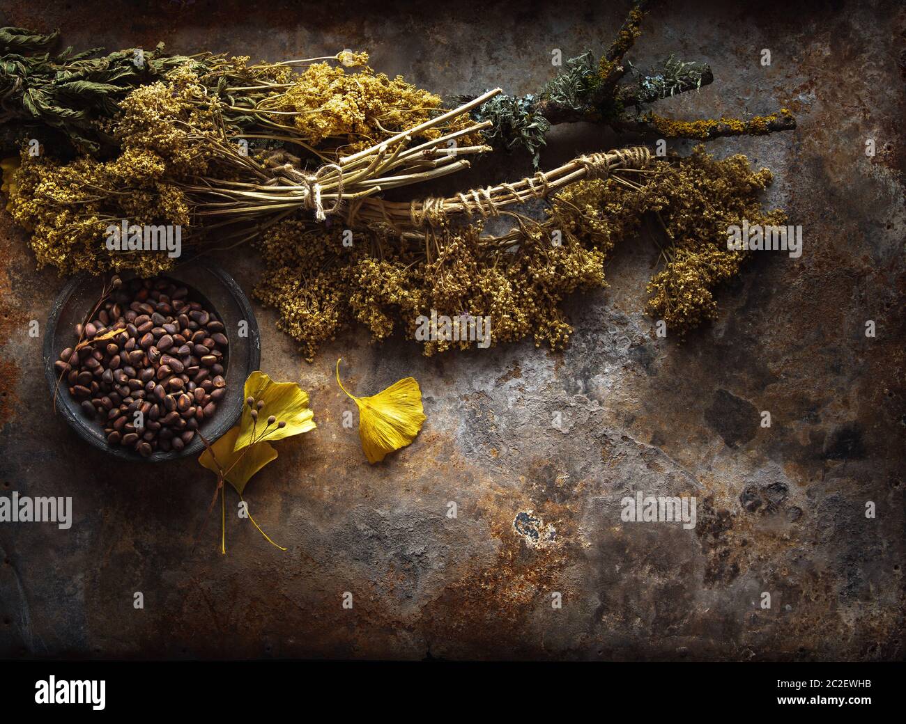 Tè secco e pinoli siberiani su fondo metallico arrugginito e grugnoso Foto Stock