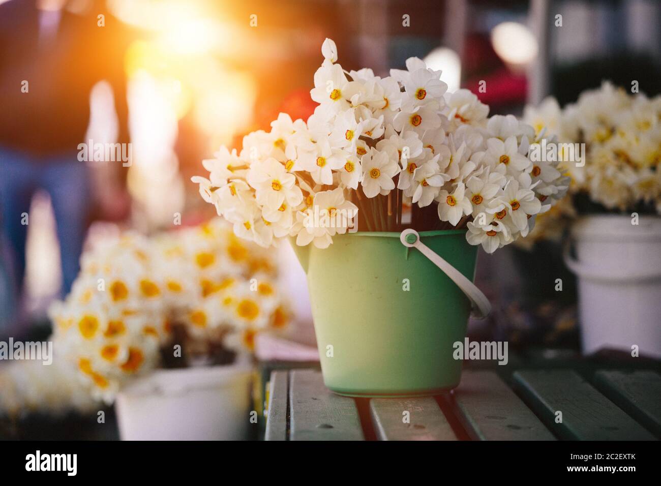 Close up mazzetto di daffodils giallo Foto Stock