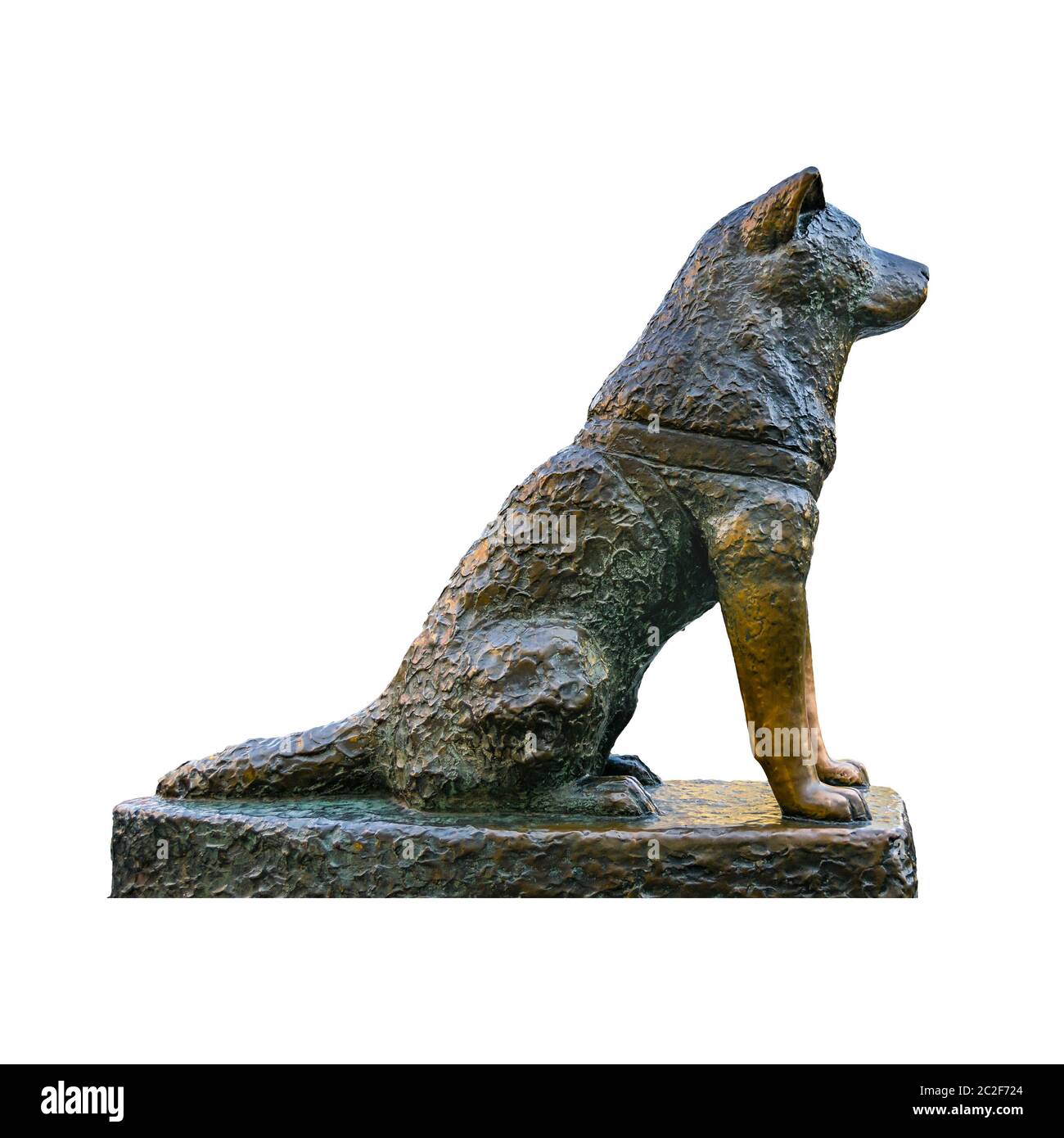 Hachiko Dog Sculpture isolato foto Foto Stock