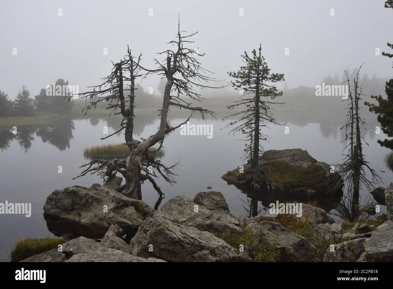 Le Alpi Gurktal con il Windebensee sono una catena montuosa delle Alpi centrali orientali in Austria Foto Stock