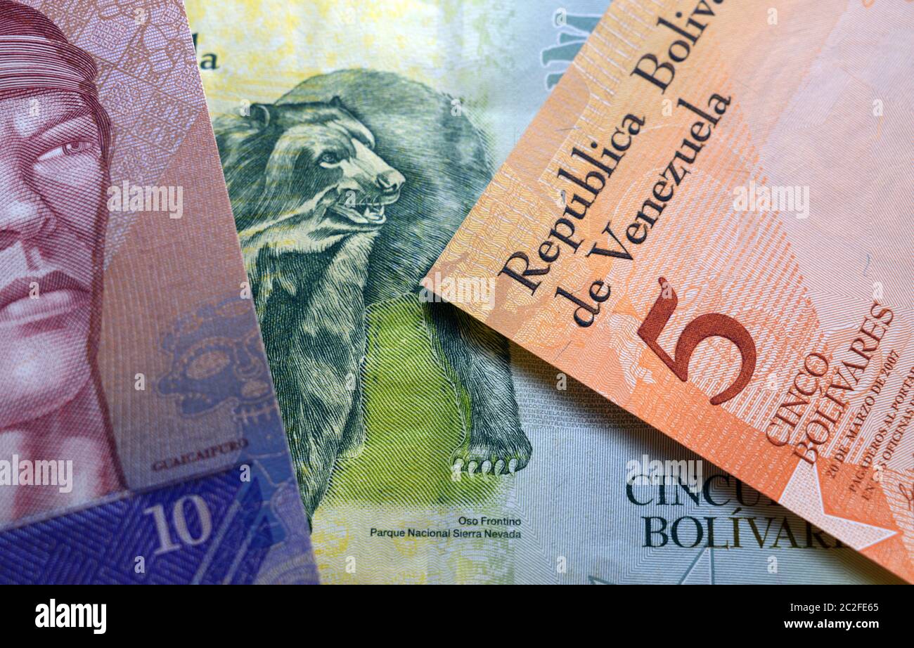 Primo piano delle banconote venezuelane Foto Stock