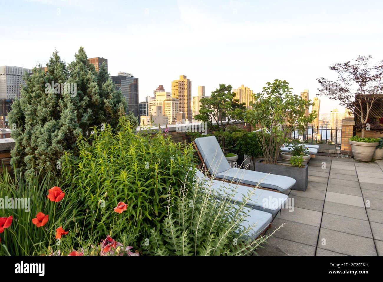 Urbano giardino sul tetto, NYC Foto Stock