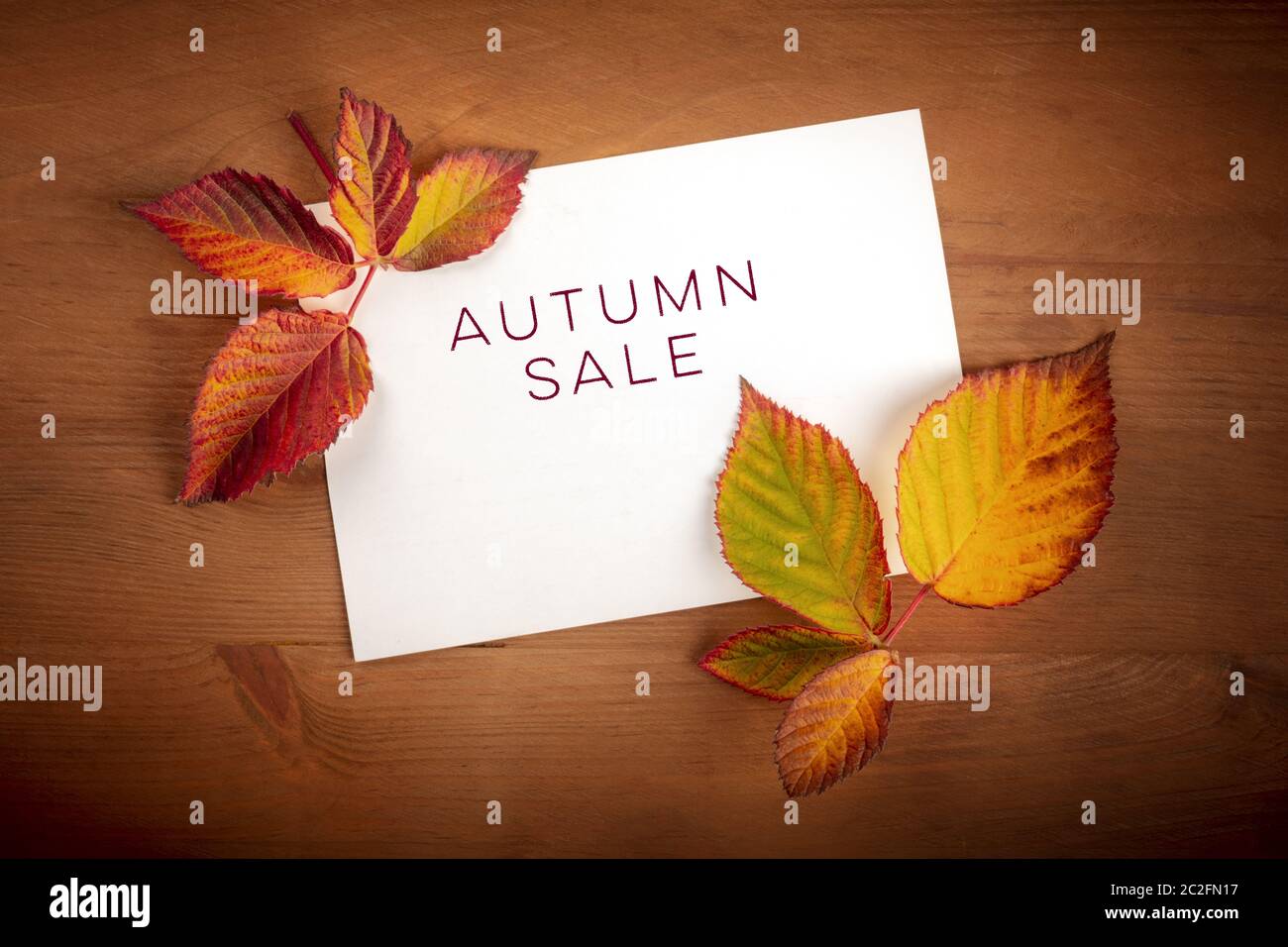 Collezione autunno vendita. Sconto o banner flyer design template con vibrante Foglie di autunno su una scheda con un posto per il testo e il logo Foto Stock