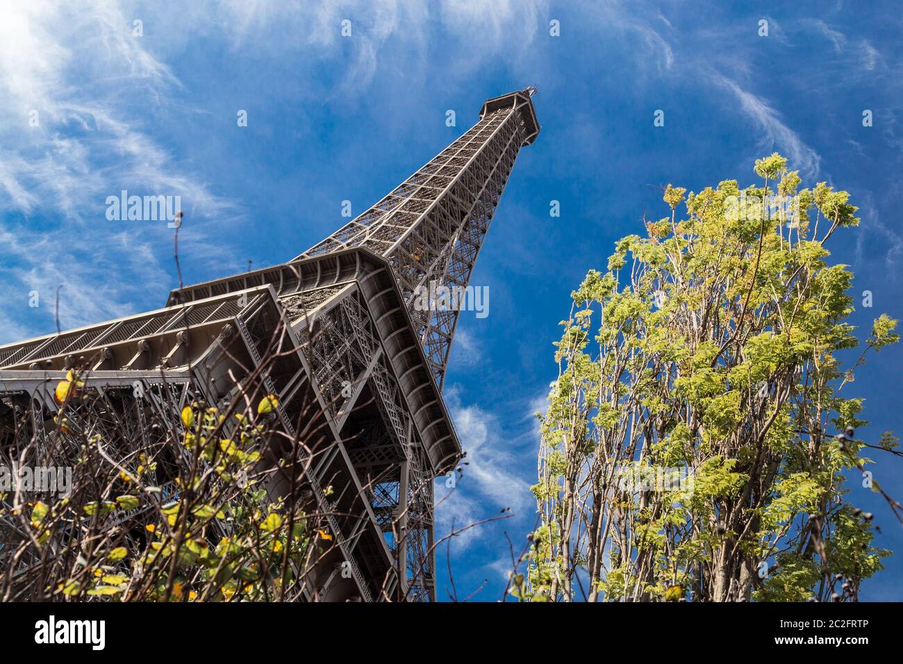 Parigi, Francia, 30 2017 marzo: Torre Eiffel, Parigi, visto dal parco. Torre Eiffel in una bella giornata di primavera con un cielo blu. M Foto Stock