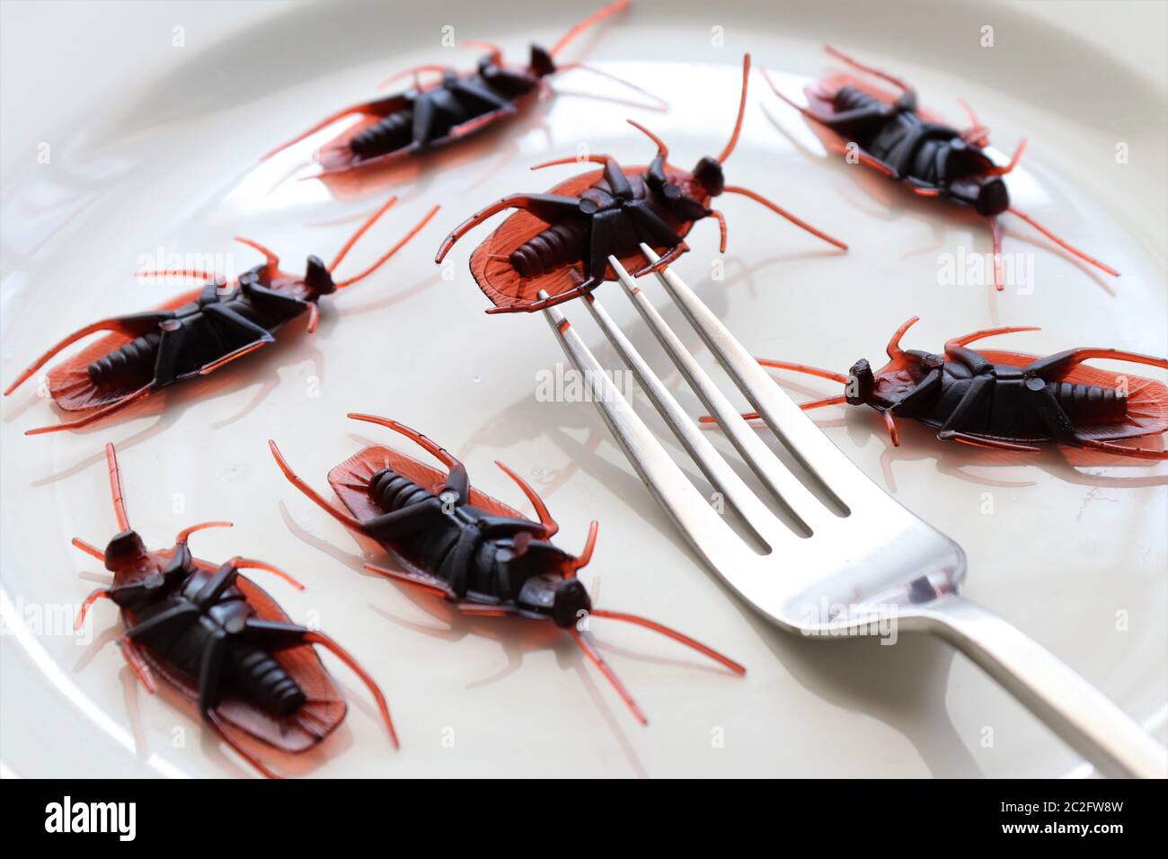 Insetti su un plate.Insects come alimento o insetti commestibili sono specie di insetto usate per il consumo umano intero o come ingrediente in pro di cibo trasformato Foto Stock