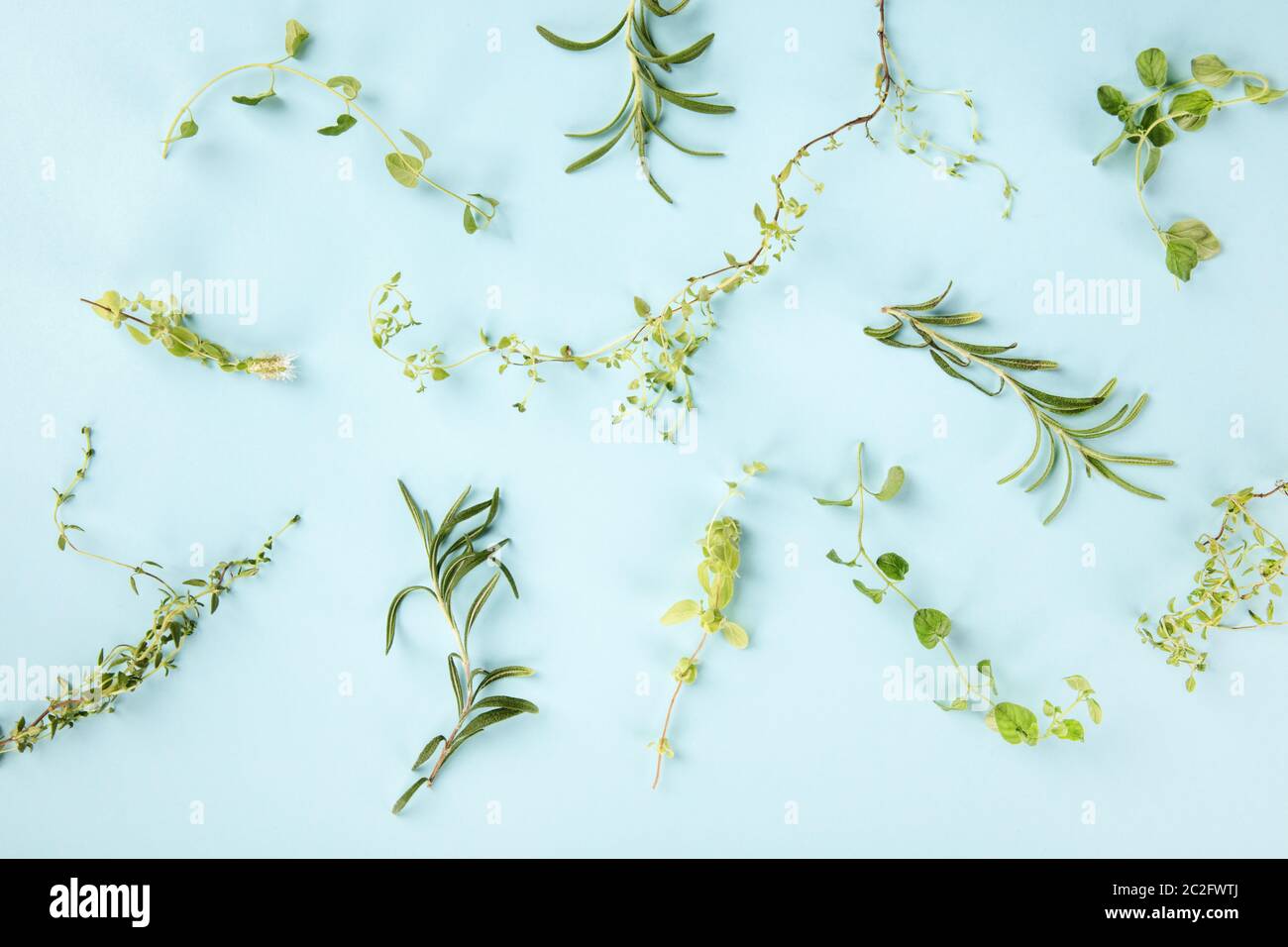 Le erbe di Provenza. Rosmarino, origano, timo e maggiorana, girato dalla parte superiore su uno sfondo blu Foto Stock