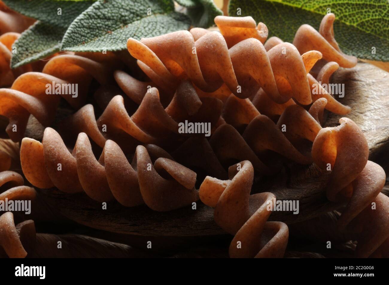 Fusilli pasta intera di grano saraceno sul cucchiaio Foto Stock