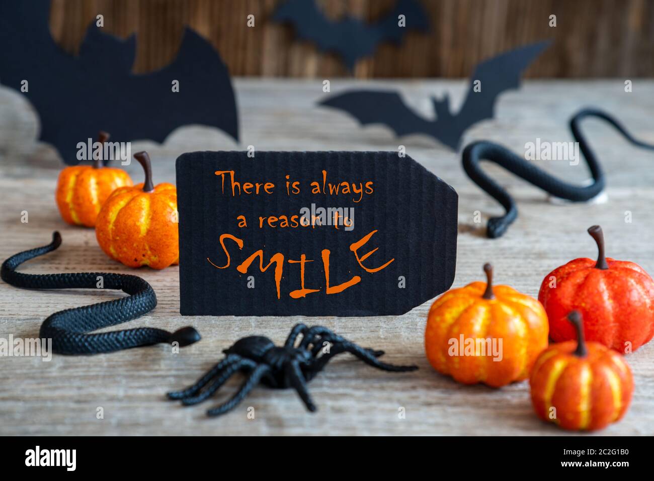 Etichetta Nera con preventivo inglese vi è sempre un motivo per sorridere. Scary Halloween decorazione COME LA BAT, Snake e Spider Foto Stock