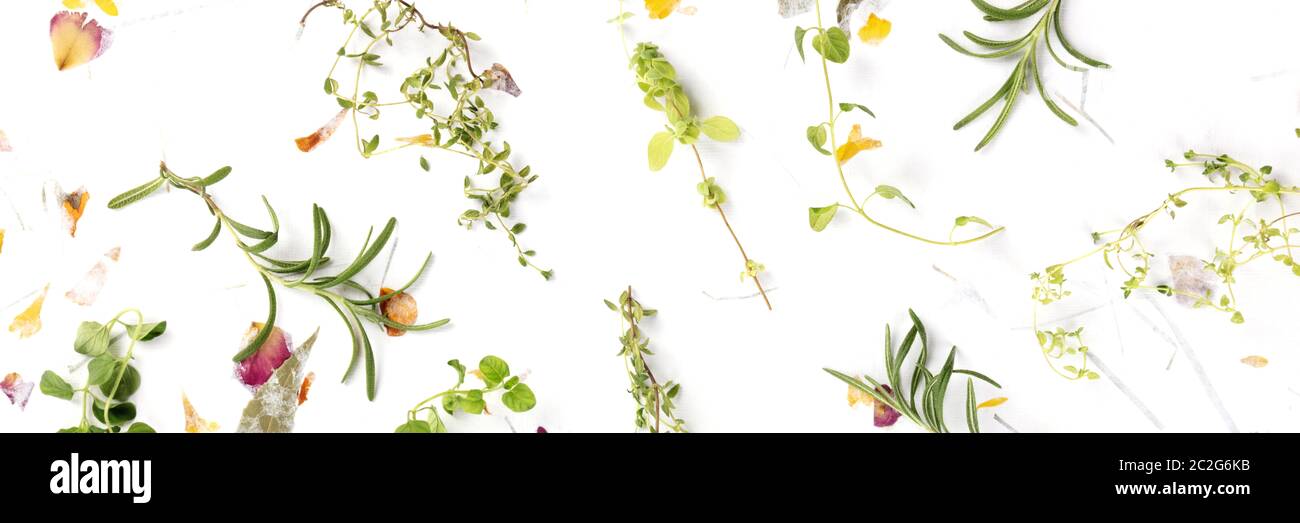 Le erbe del panorama della Provenza. Rosmarino, origano, timo e maggiorana, sparati dall'alto su uno sfondo di foglie secche e peta Foto Stock