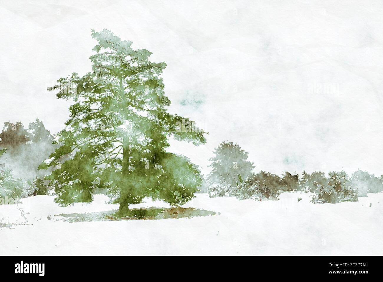 paesaggio invernale con un pino dipinto digitale acquerello Foto Stock