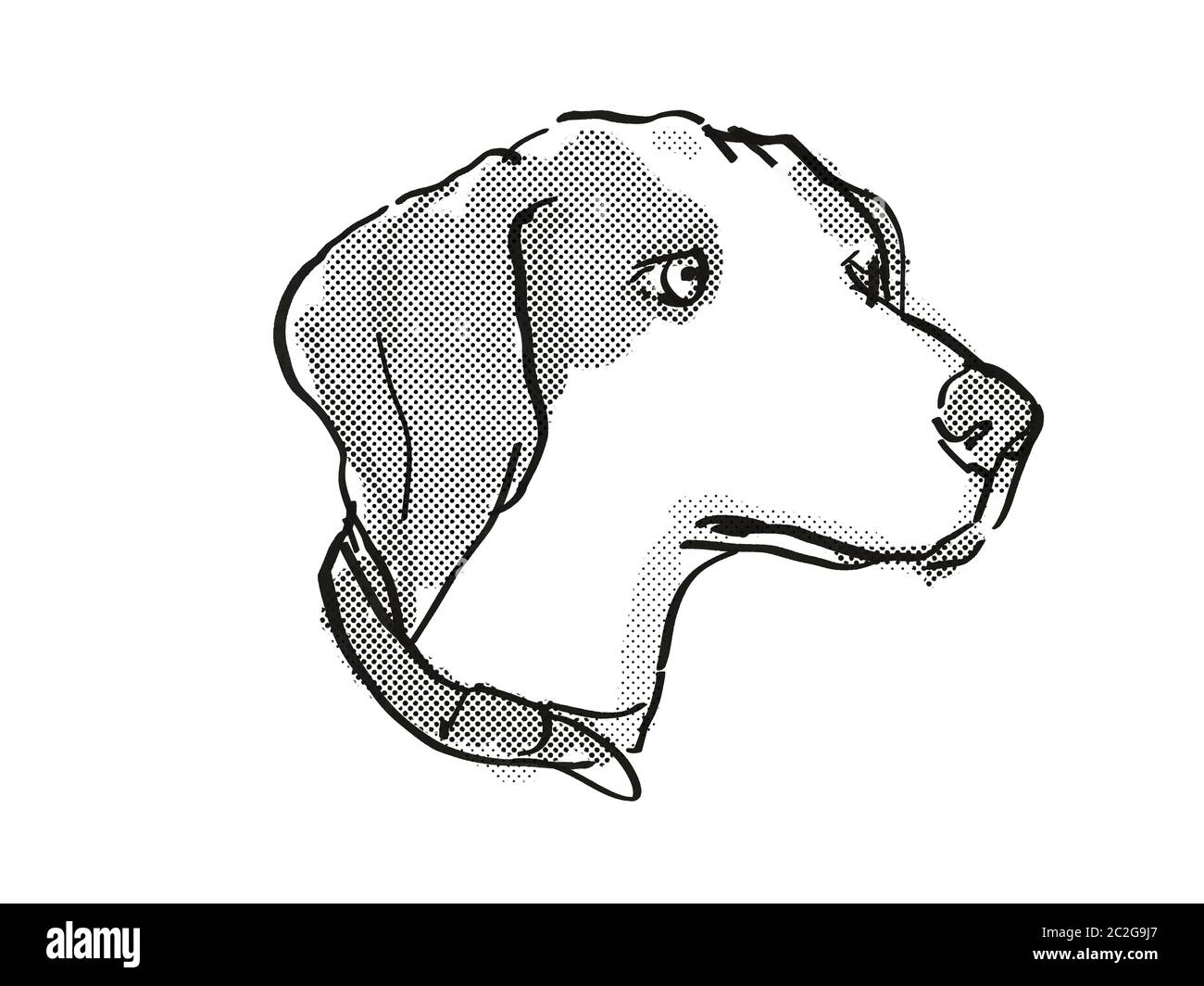 Rétro in stile cartoon disegno della testa di un cane beagle , un cane domestico o di razza canina isolato su sfondo bianco fatto in bianco e nero. Foto Stock