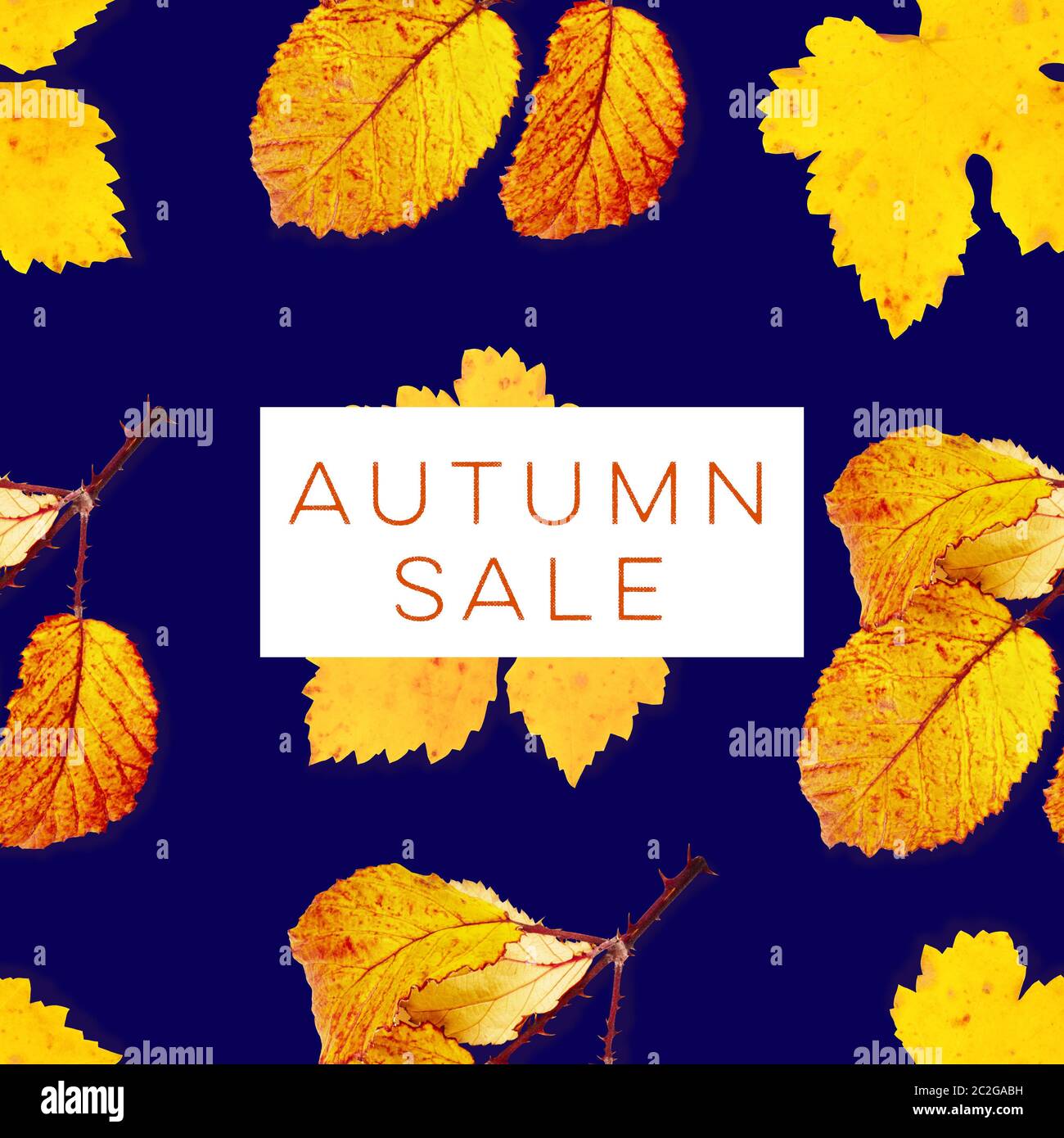 Vendita autunnale, uno sconto banner o flyer design con vibrante giallo lascia cadere su uno sfondo blu scuro Foto Stock