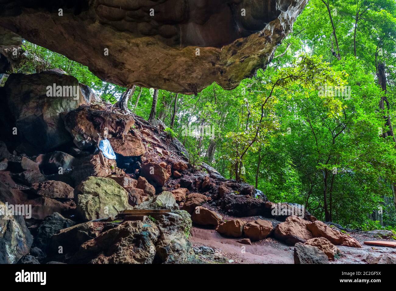 Budda seduto nella grotta, Wat Suwan Kuha tempio, Thailandia Foto Stock