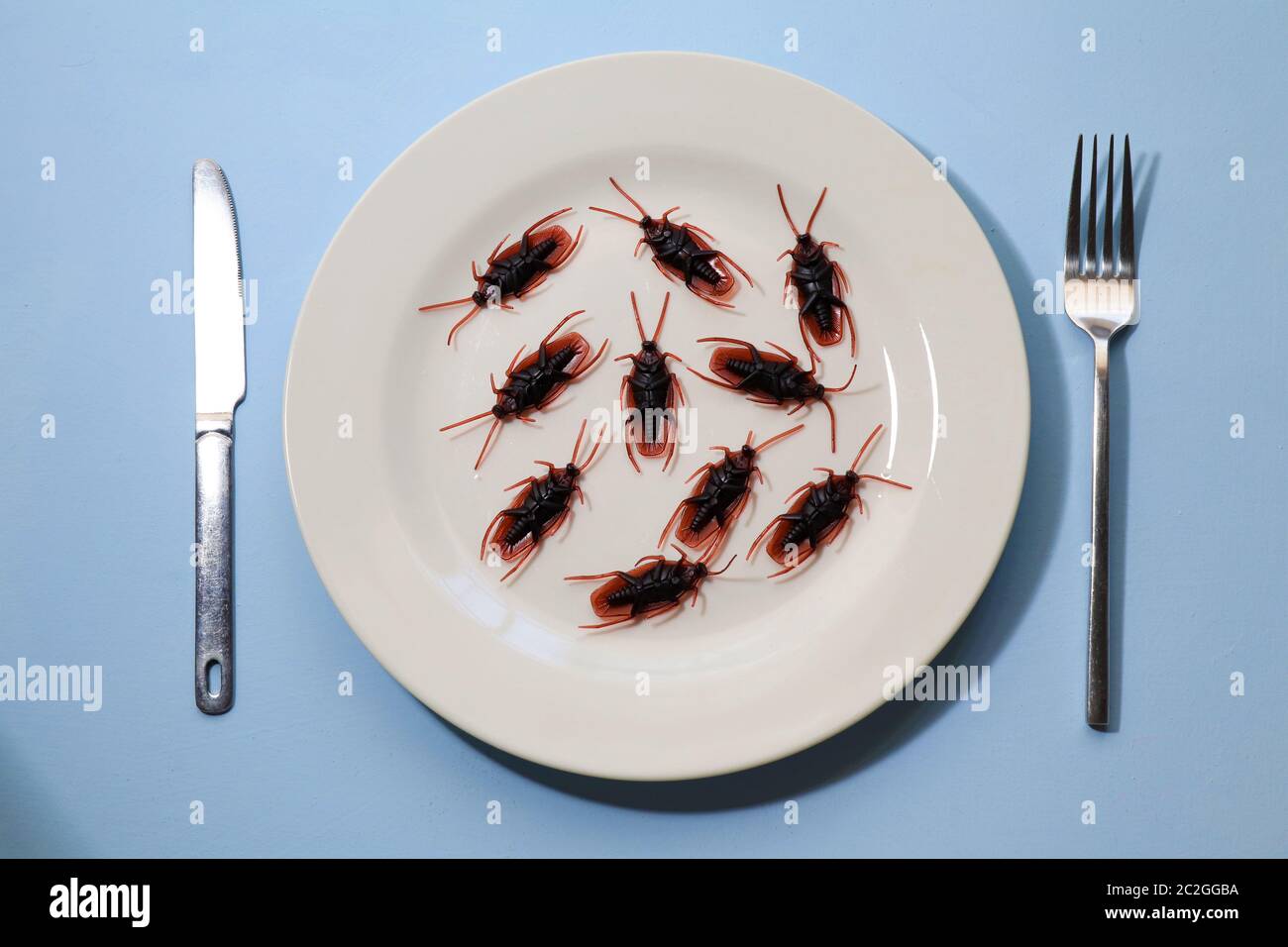 Insetti su un plate.Insects come alimento o insetti commestibili sono specie di insetto usate per il consumo umano intero o come ingrediente in pro di cibo trasformato Foto Stock