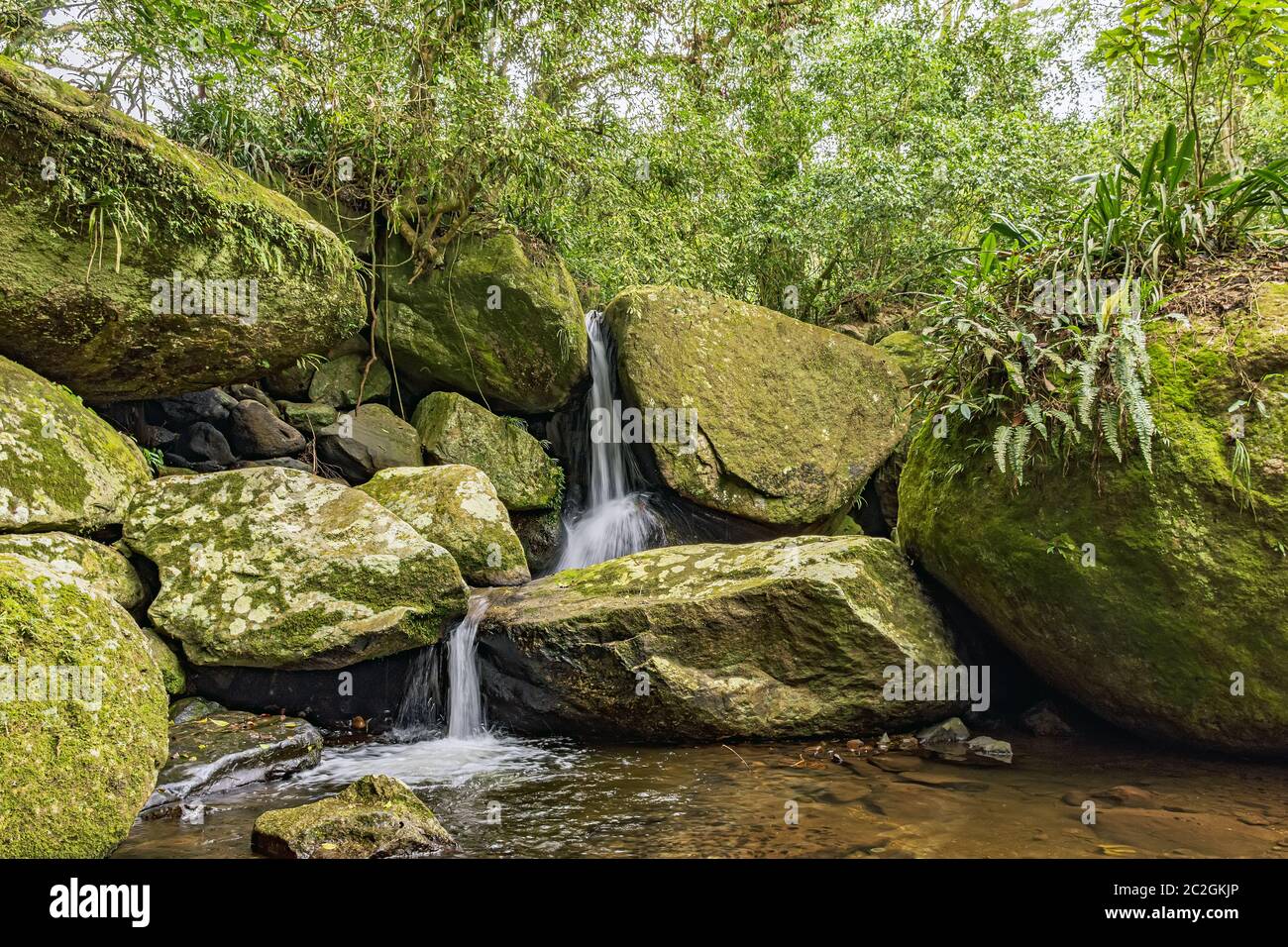 Piccola cascata tra la vegetazione della foresta pluviale dell'isola di Ilhabela Foto Stock