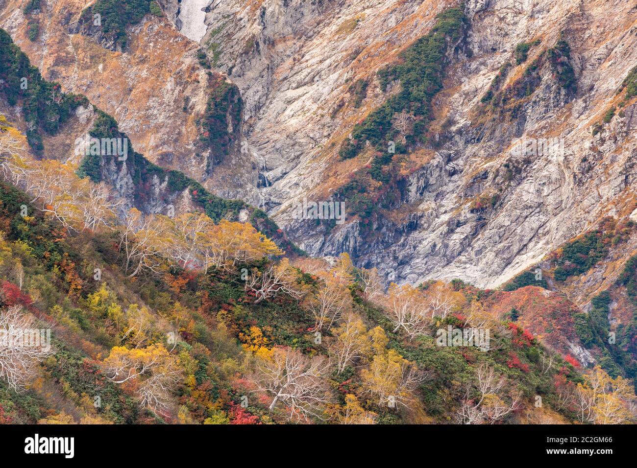 Valle di Hakuba Autunno Nagano Giappone Foto Stock
