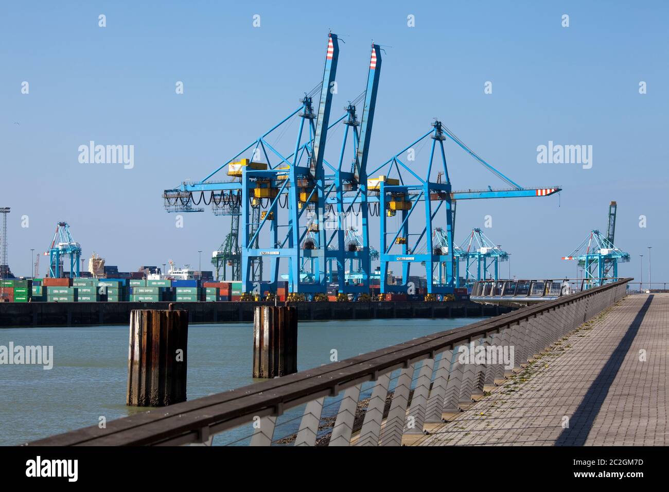 Gru per il sollevamento di container nel porto di Zeebrugge (Seabruges), Belgio. Foto V.D. Foto Stock