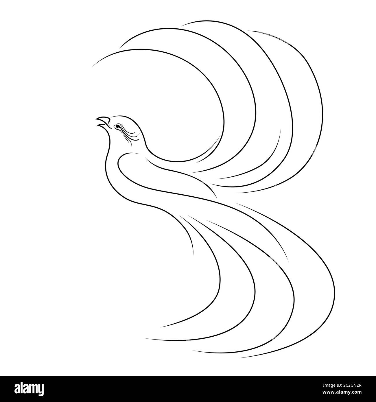 Silhouette di astratto volante bellissimo uccello, profilo nero isolato su sfondo bianco Illustrazione Vettoriale