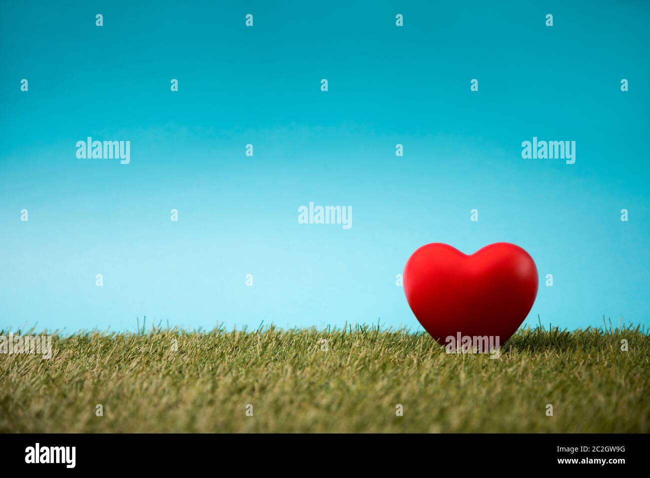 Cuore rosso su erba verde e blu cielo Foto Stock