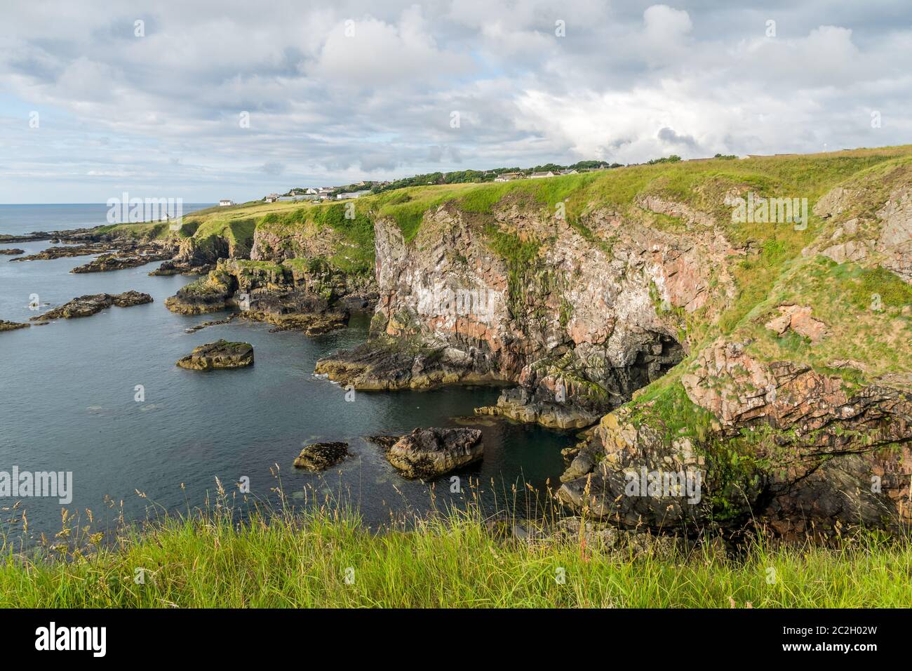 Scogliere lungo la costa di Cove. Foto Stock