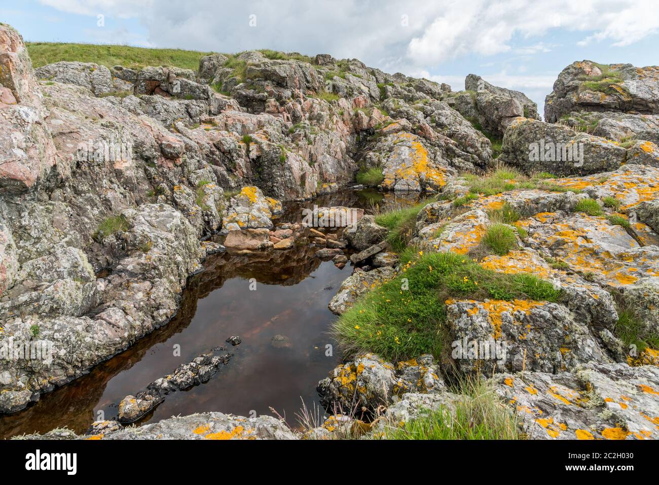 Rockpool a Cove, Aberdeenshire. Foto Stock