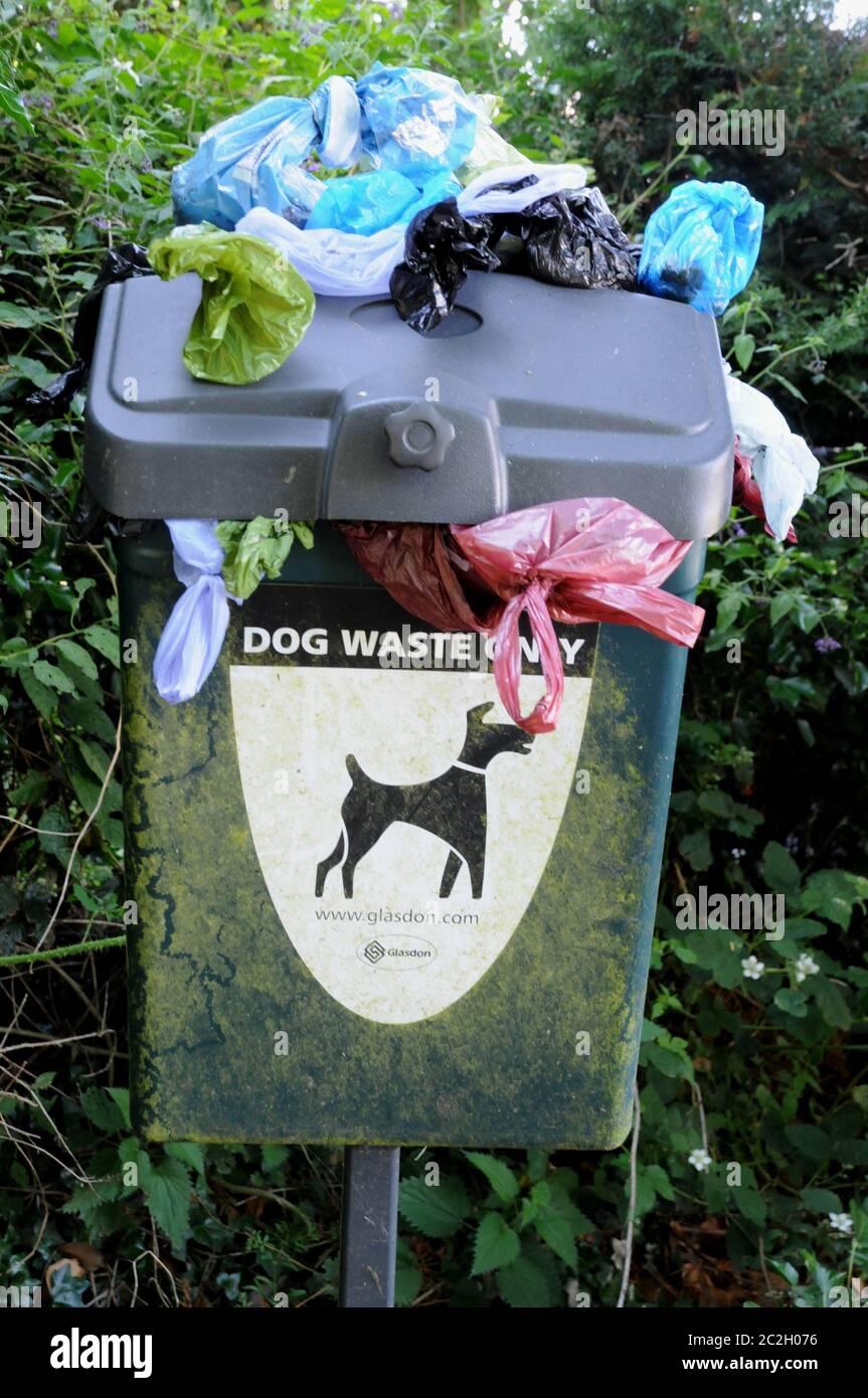 Traboccante cestino di rifiuti di cani nella corsia vicino a Bateman's, la casa di Rudyard Kipling da tempo vicino a Burwash, un villaggio nel Weald del Sussex orientale. Foto Stock