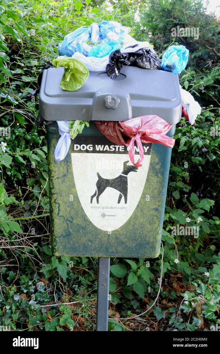 Traboccante cestino di rifiuti di cani nella corsia vicino a Bateman's, la casa di Rudyard Kipling da tempo vicino a Burwash, un villaggio nel Weald del Sussex orientale. Foto Stock