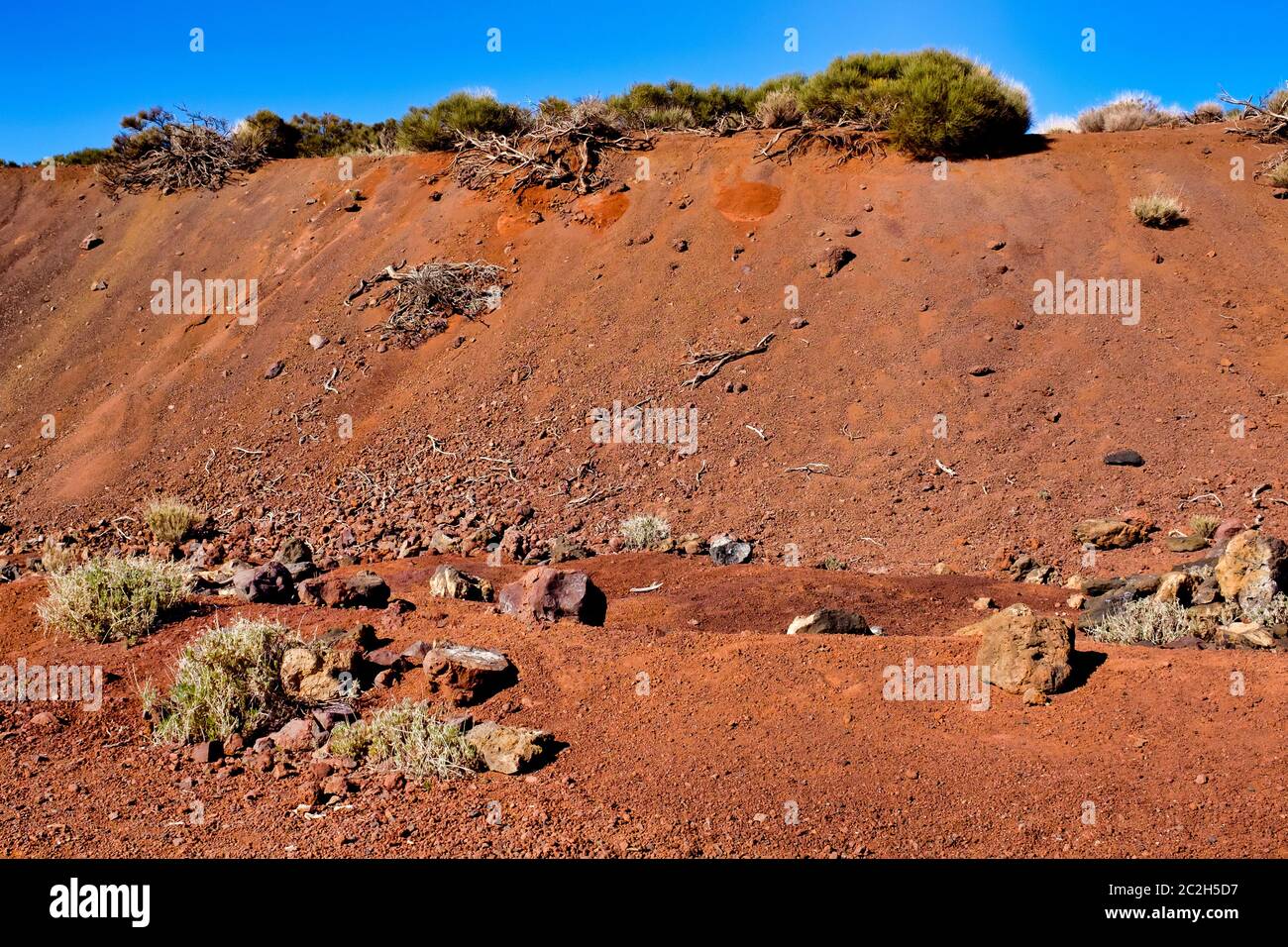 Terra rossa nel Parco Nazionale del Monte Teide, Tenerife, Isole Canarie, Spagna Foto Stock