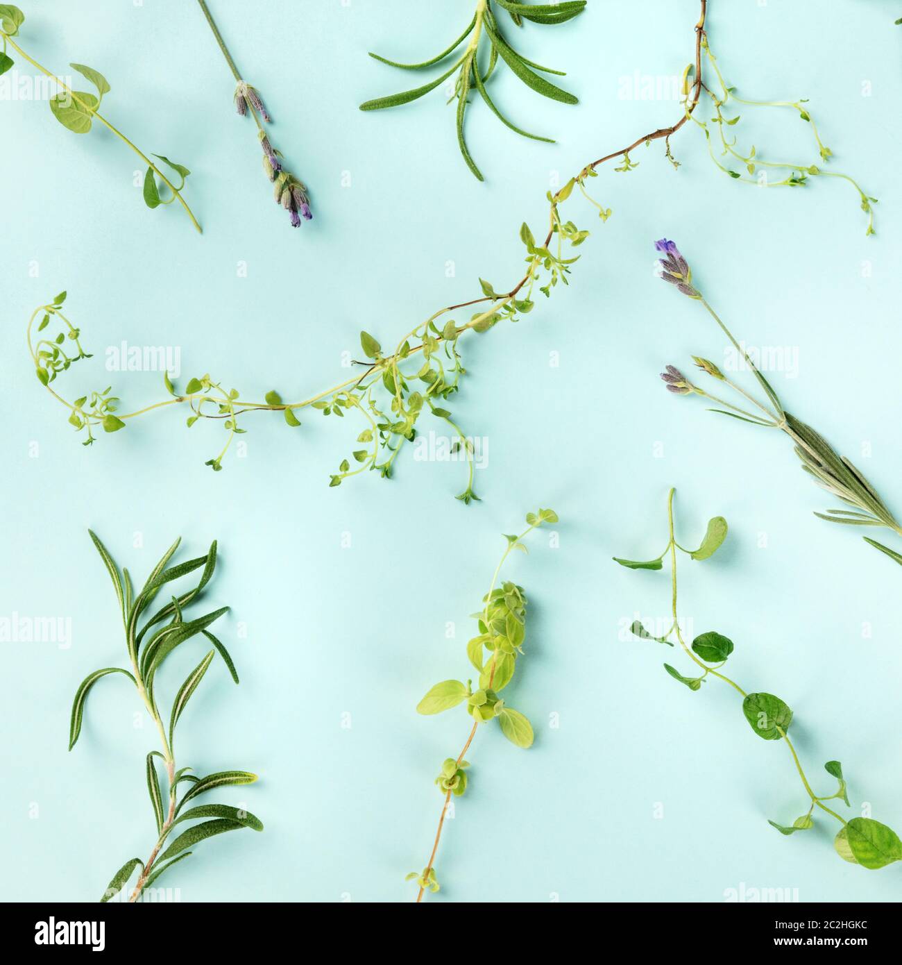 Le erbe di Provenza. Rosmarino, lavanda, origano, timo e maggiorana, overhead square shot su un sfondo di teal Foto Stock