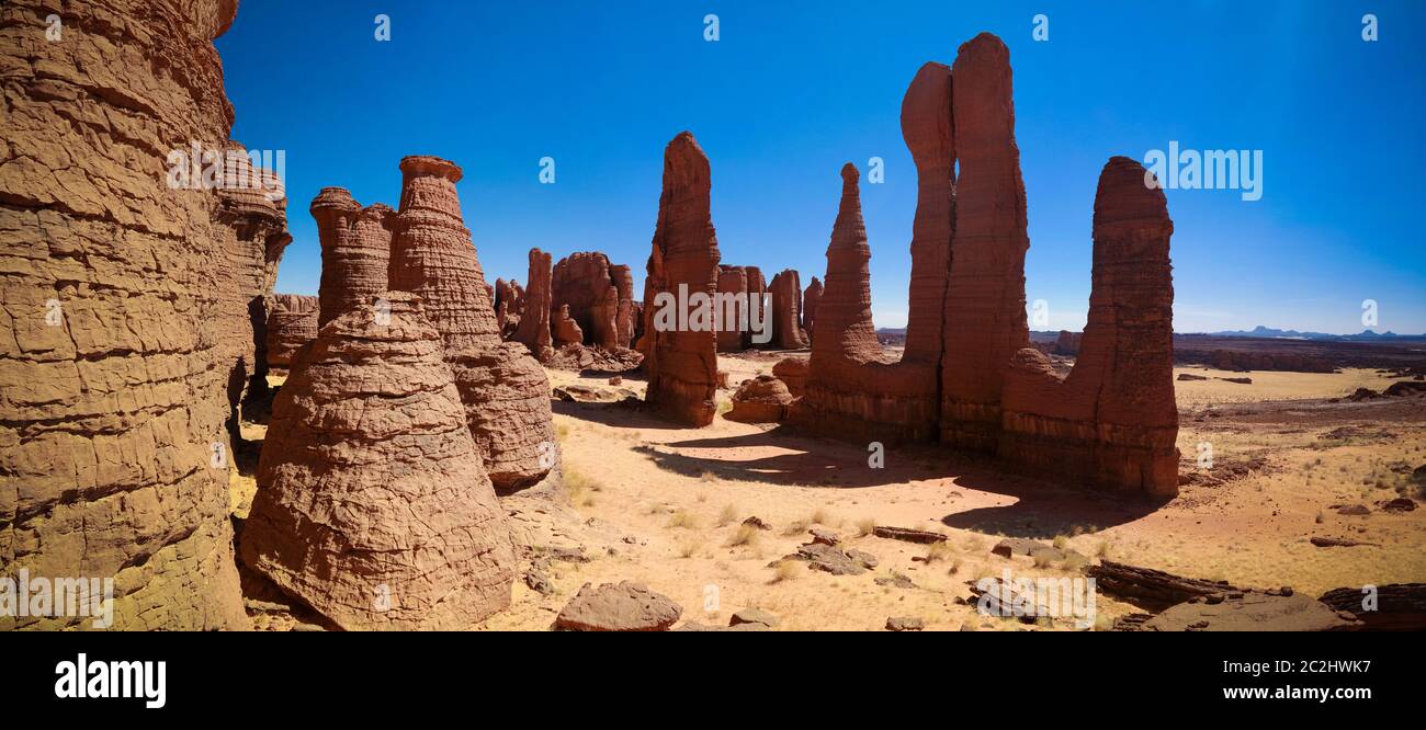 Formazione astratta di roccia all'altopiano Ennedi aka foresta di pietra in Ciad Foto Stock