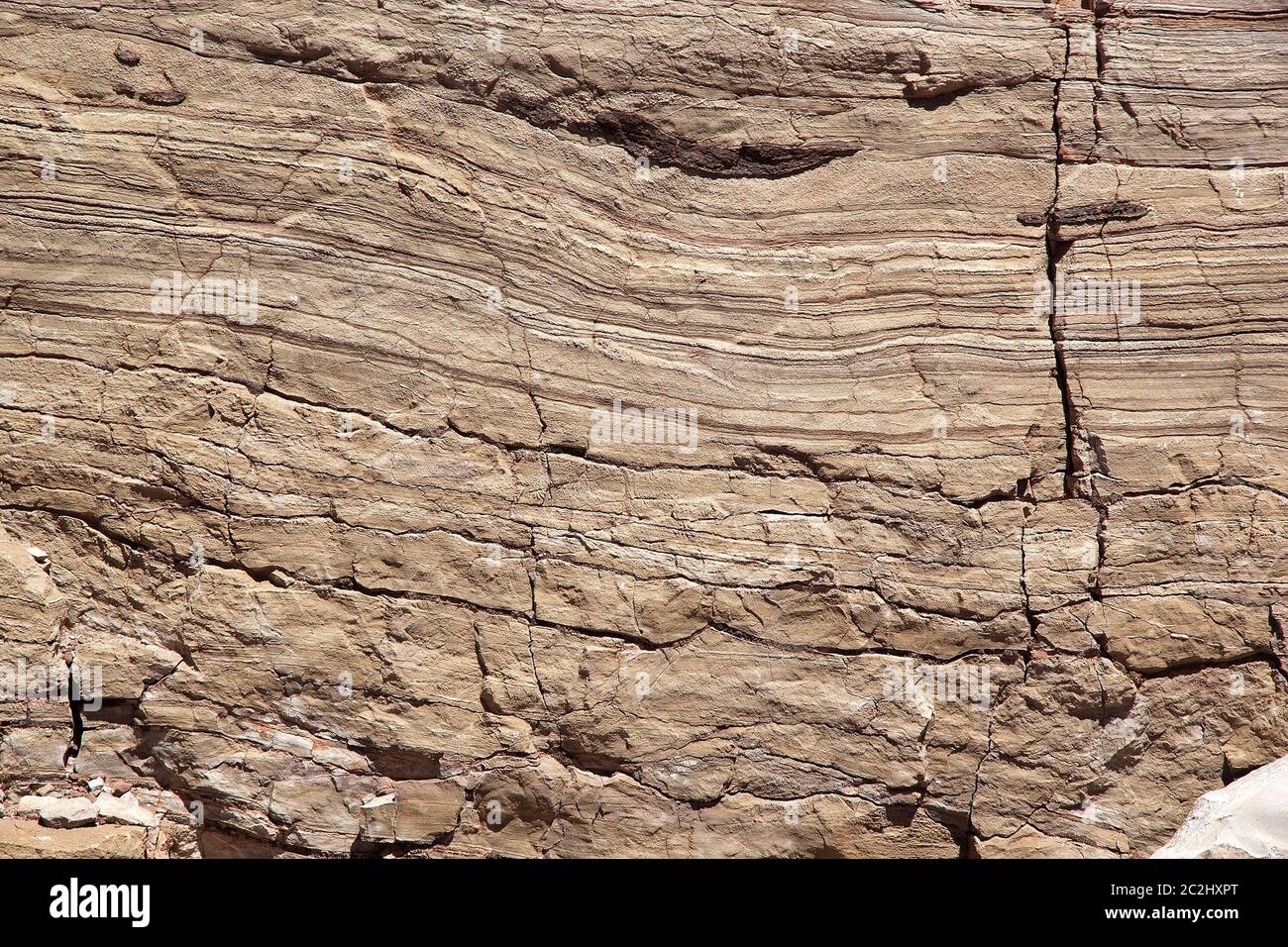 Dettagli della roccia alla Quebrada de las Conchas nella Valle di Calchaqui, vicino a Cafayate, Argentina. Si tratta di una valle nella regione nord-occidentale di Arg Foto Stock