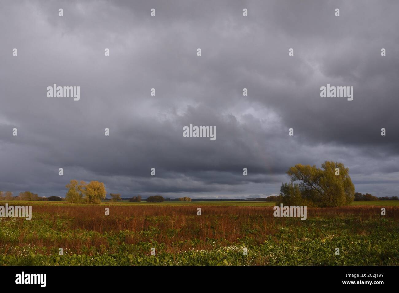 Thunderstorm umore in autunno in germania. Foto Stock