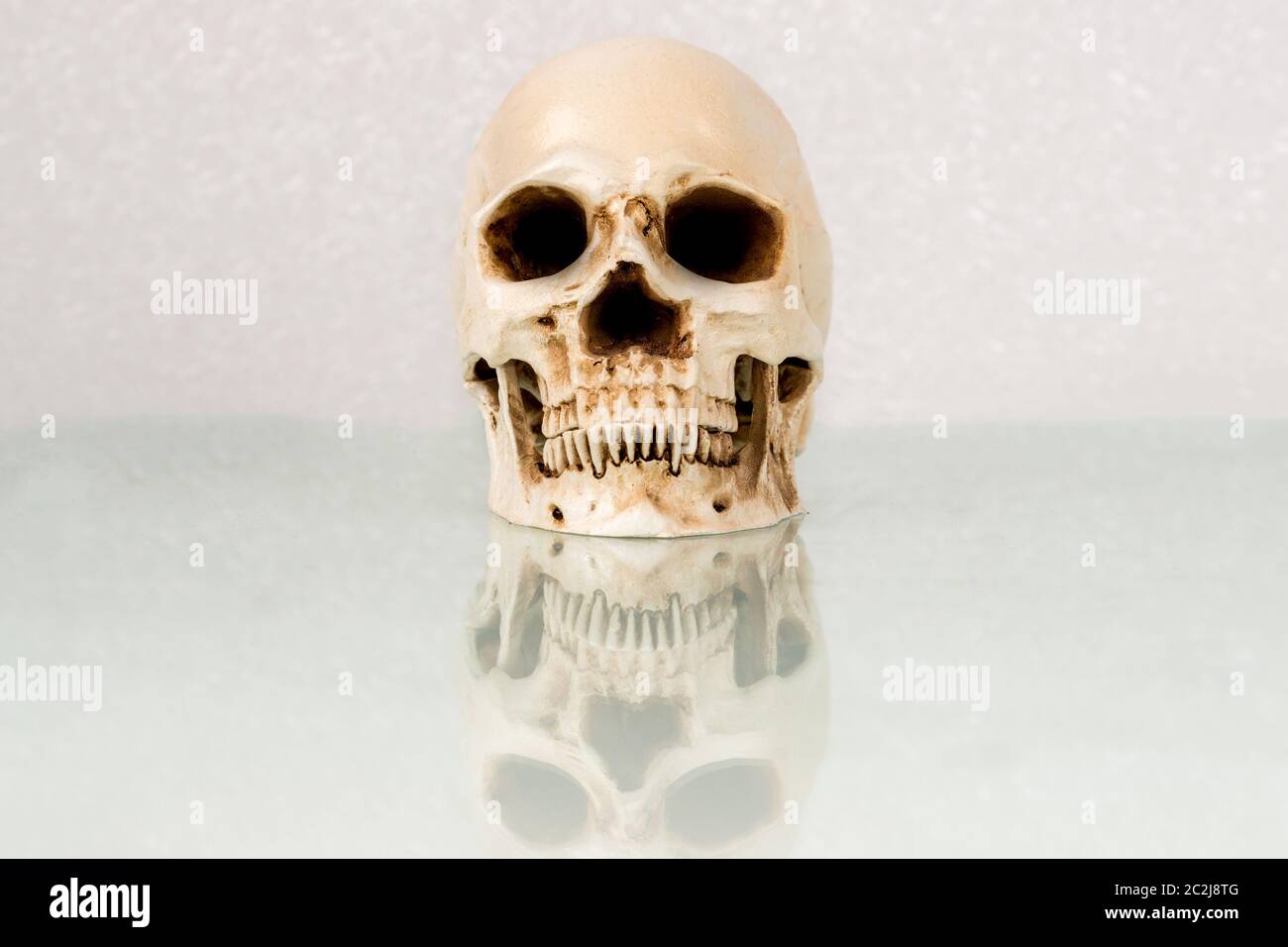 Un cranio umano su una scrivania di vetro bianco. Il cranio si riflette nel vetro. Spazio per il testo o per il ritaglio. Foto Stock