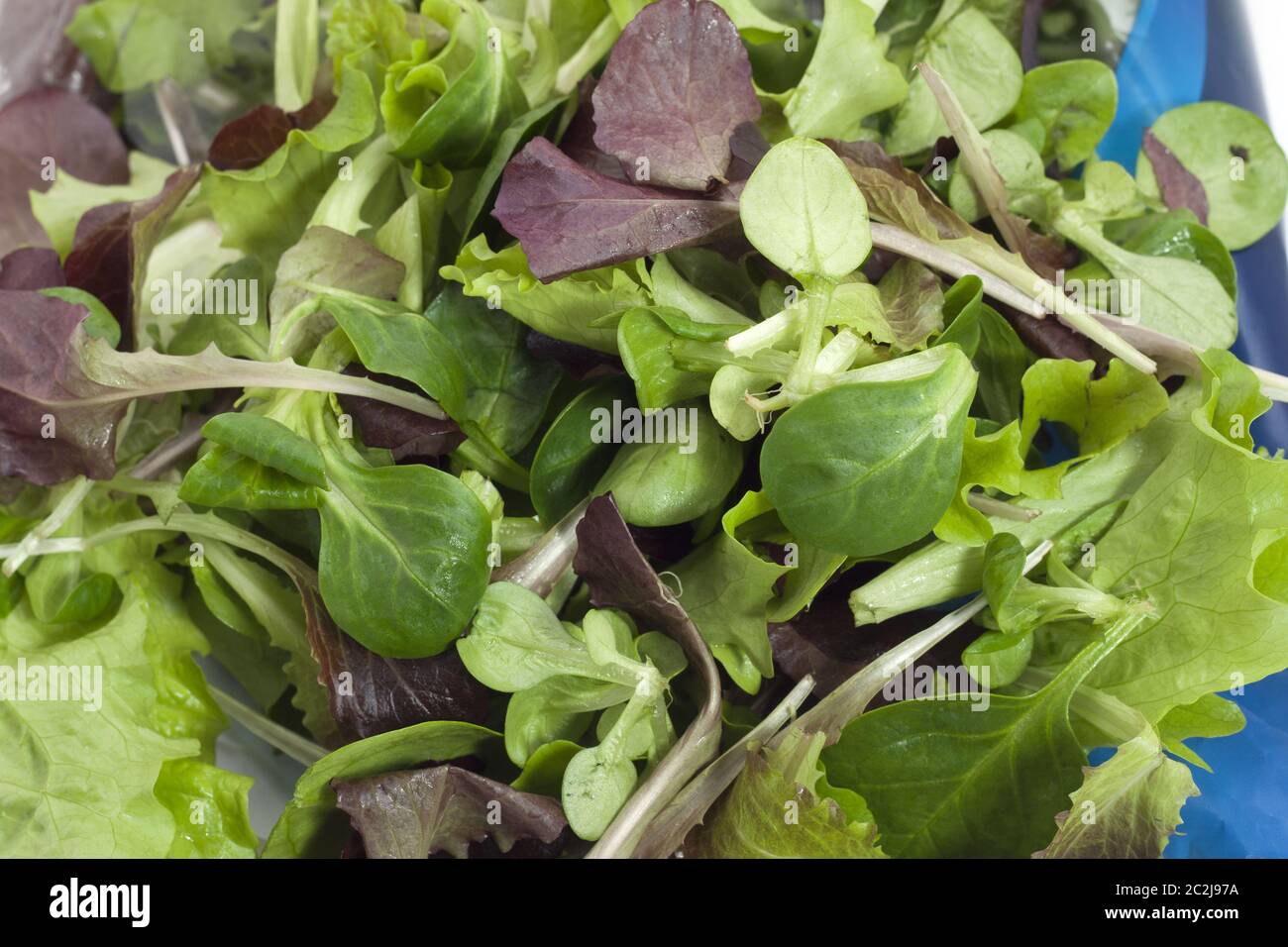 insalata a due colori con pacchetto di risparmio di freschezza Foto Stock