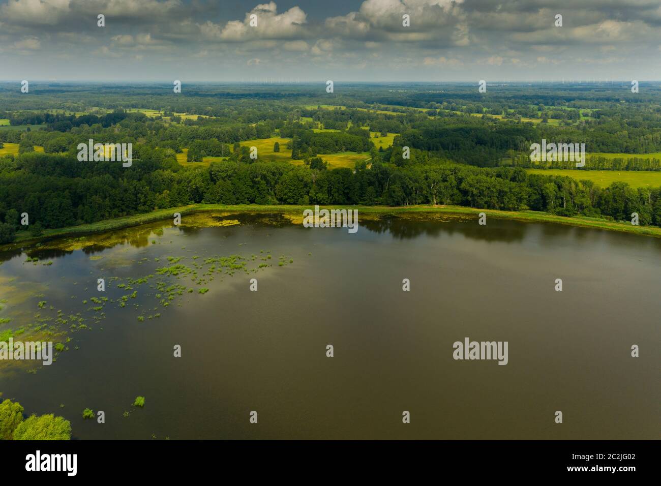 vista del paesaggio nella foresta pluviale Foto Stock