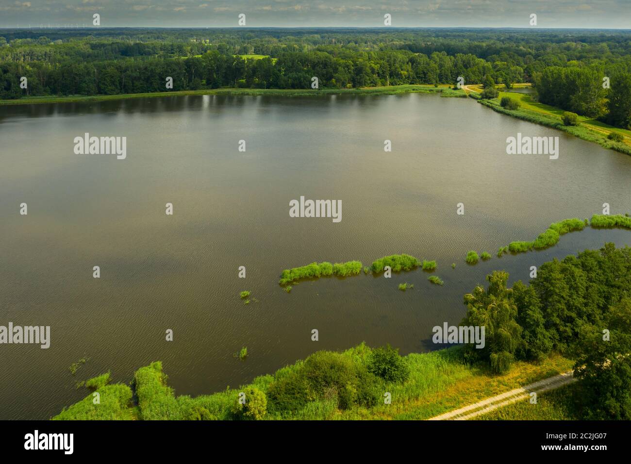 vista del paesaggio nella foresta pluviale Foto Stock