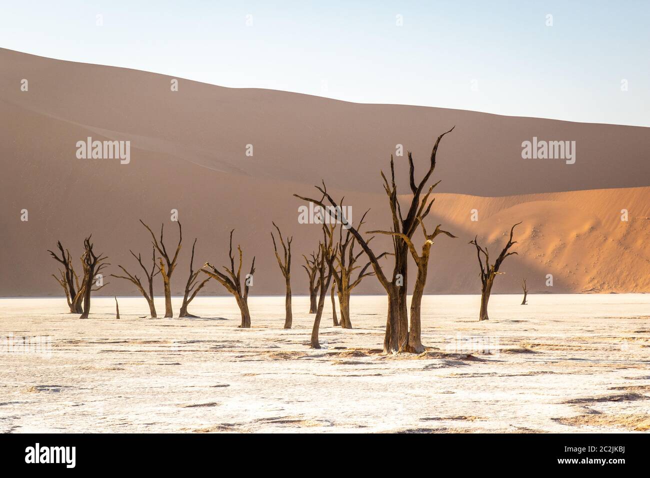 Sossousvlei Park, Deadvlei, Namibia Foto Stock