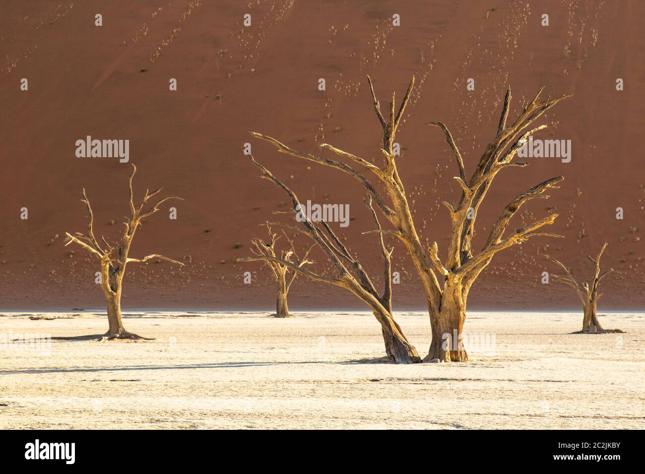 Sossousvlei Park, Deadvlei, Namibia Foto Stock