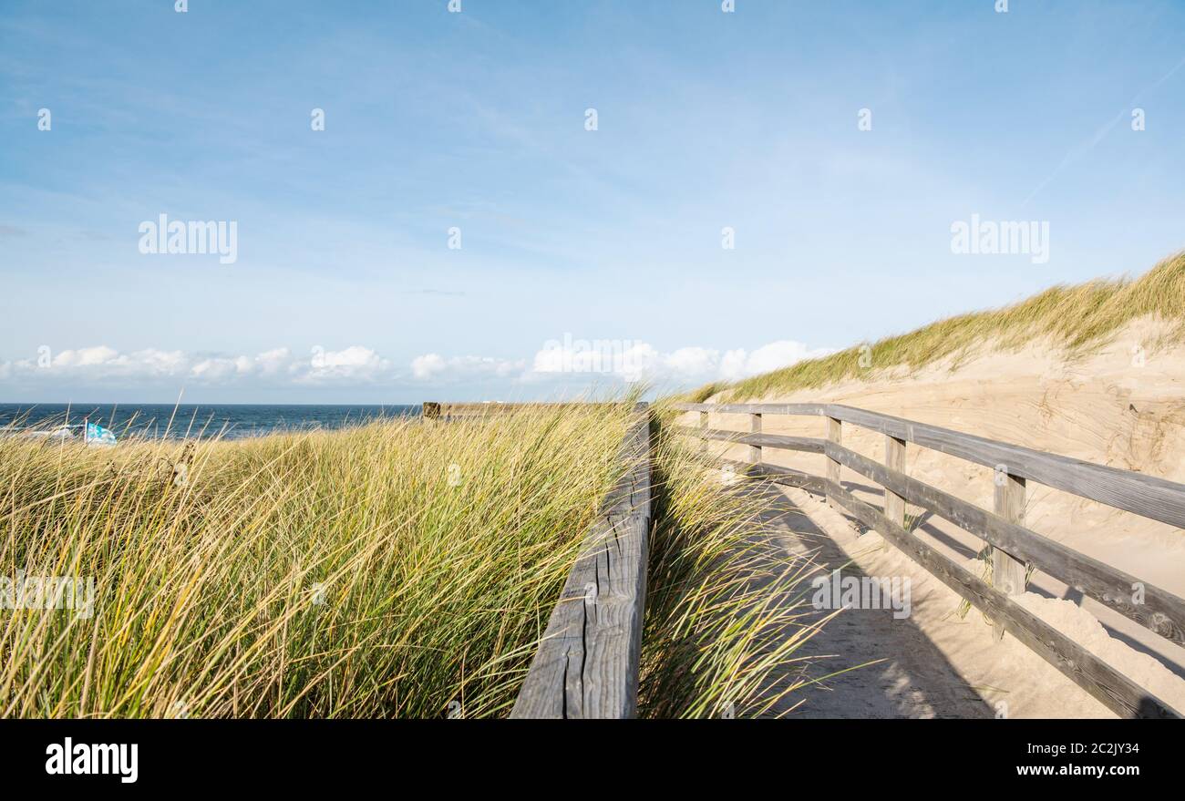 Passeggiata in legno Foto Stock