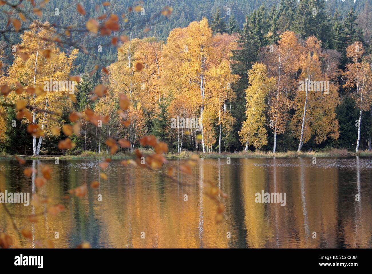 Vedi Slavkovský les Foto Stock